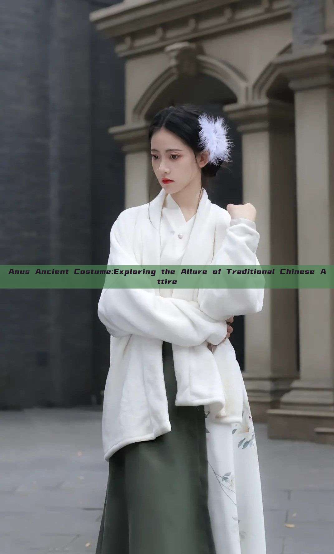 Anus Ancient Costume:Exploring the Allure of Traditional Chinese Attire Anus Ancient Costume:Exploring the Allure of Traditional Chinese Attire
