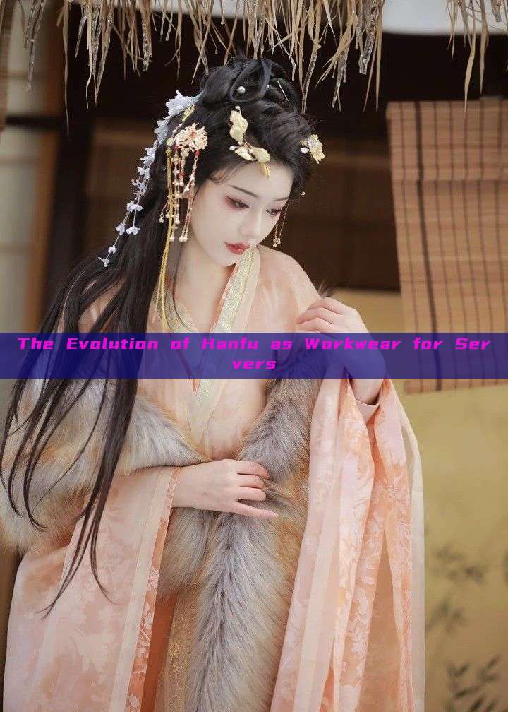 The Evolution of Hanfu as Workwear for Servers