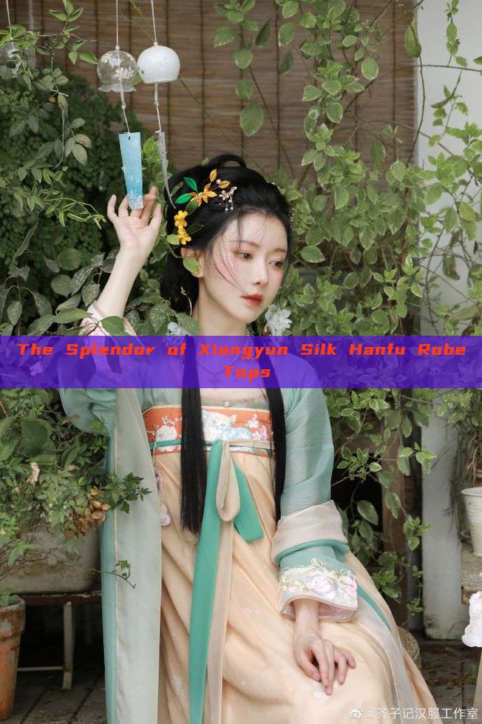 The Splendor of Xiangyun Silk Hanfu Robe Tops The Splendor of Xiangyun Silk Hanfu Robe Tops