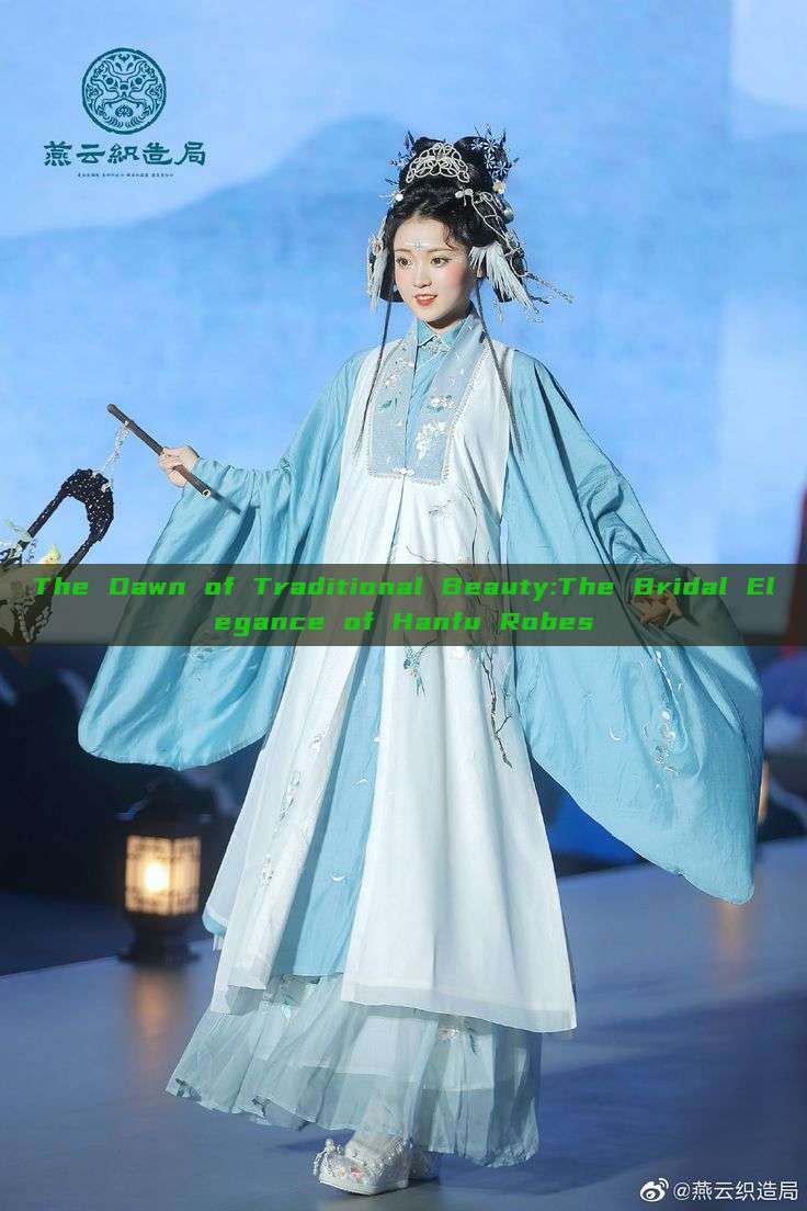 The Dawn of Traditional Beauty:The Bridal Elegance of Hanfu Robes The Dawn of Traditional Beauty:The Bridal Elegance of Hanfu Robes