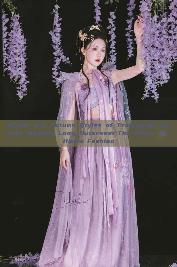 Winter and Autumn Styles of Traditional Chinese Womens Long Outerwear:The Allure of Hanfu Fashion