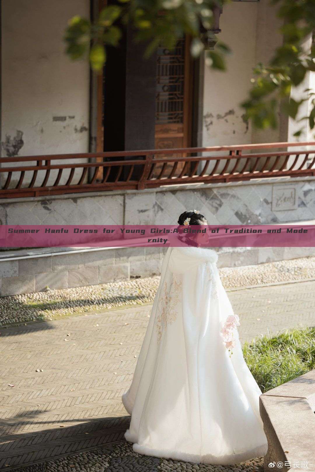 Summer Hanfu Dress for Young Girls:A Blend of Tradition and Modernity Summer Hanfu Dress for Young Girls:A Blend of Tradition and Modernity