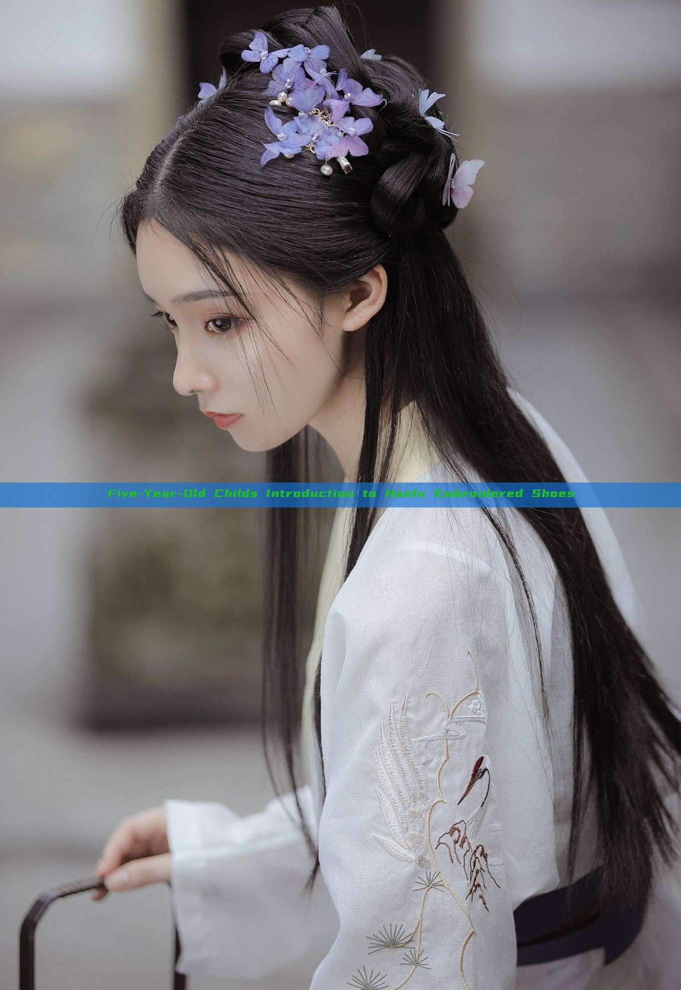 Five-Year-Old Childs Introduction to Hanfu Embroidered Shoes