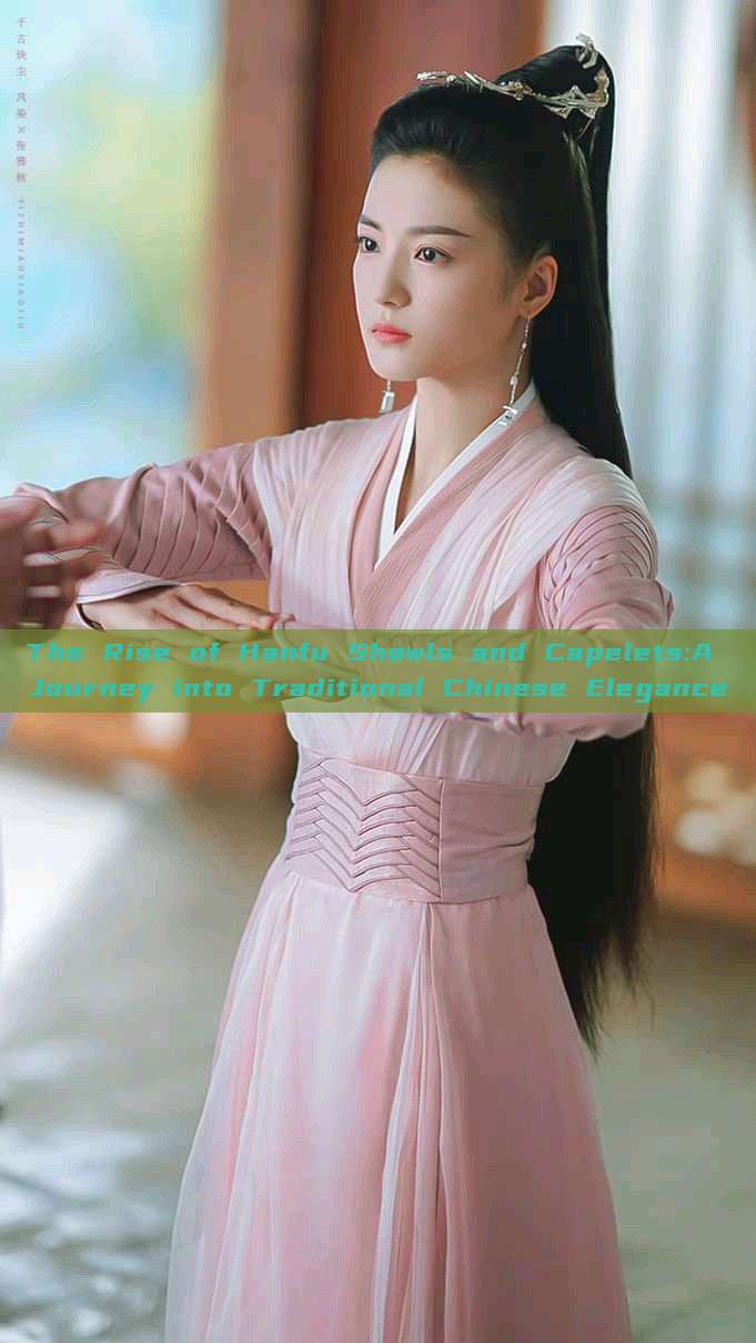 The Rise of Hanfu Shawls and Capelets:A Journey into Traditional Chinese Elegance The Rise of Hanfu Shawls and Capelets:A Journey into Traditional Chinese Elegance