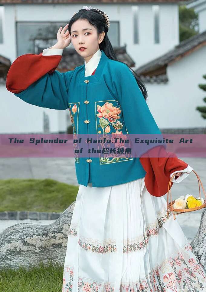 The Splendor of Hanfu:The Exquisite Art of the超长披帛 The Splendor of Hanfu:The Exquisite Art of the超长披帛