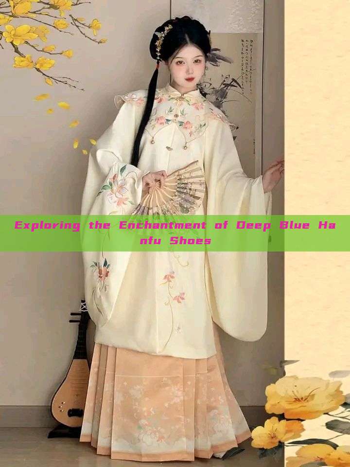 Exploring the Enchantment of Deep Blue Hanfu Shoes Exploring the Enchantment of Deep Blue Hanfu Shoes