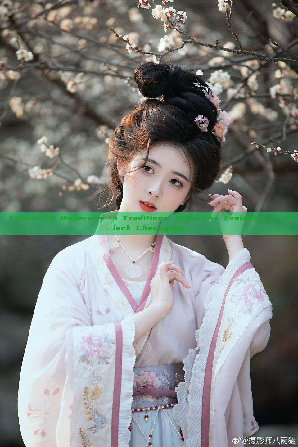 Embracing Modernity in Traditional Qipao:The Evolution of Black Cheongsam