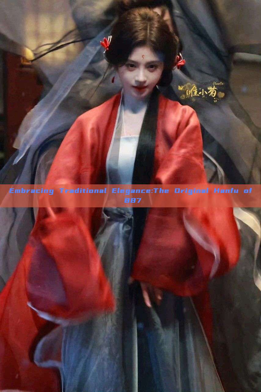 Embracing Traditional Elegance:The Original Hanfu of 887 Embracing Traditional Elegance:The Original Hanfu of 887