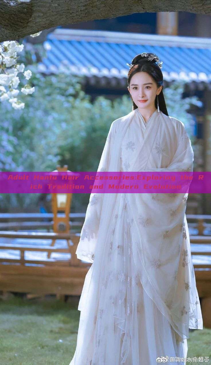 Adult Hanfu Hair Accessories:Exploring the Rich Tradition and Modern Evolution