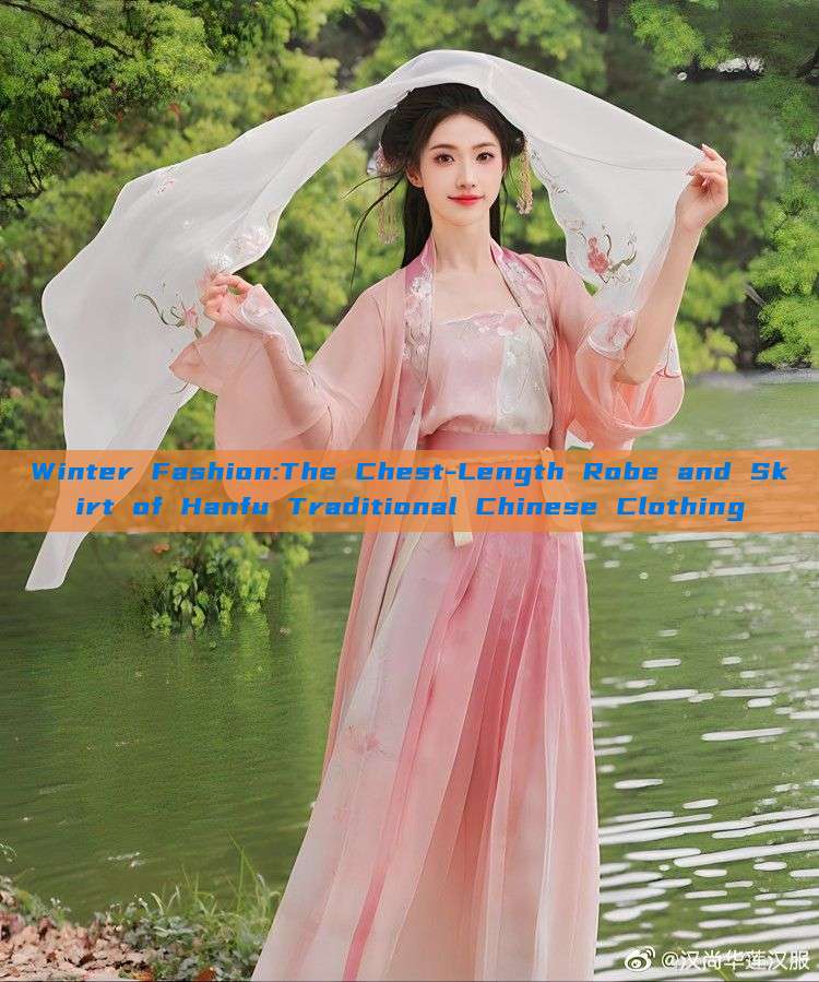 Winter Fashion:The Chest-Length Robe and Skirt of Hanfu Traditional Chinese Clothing