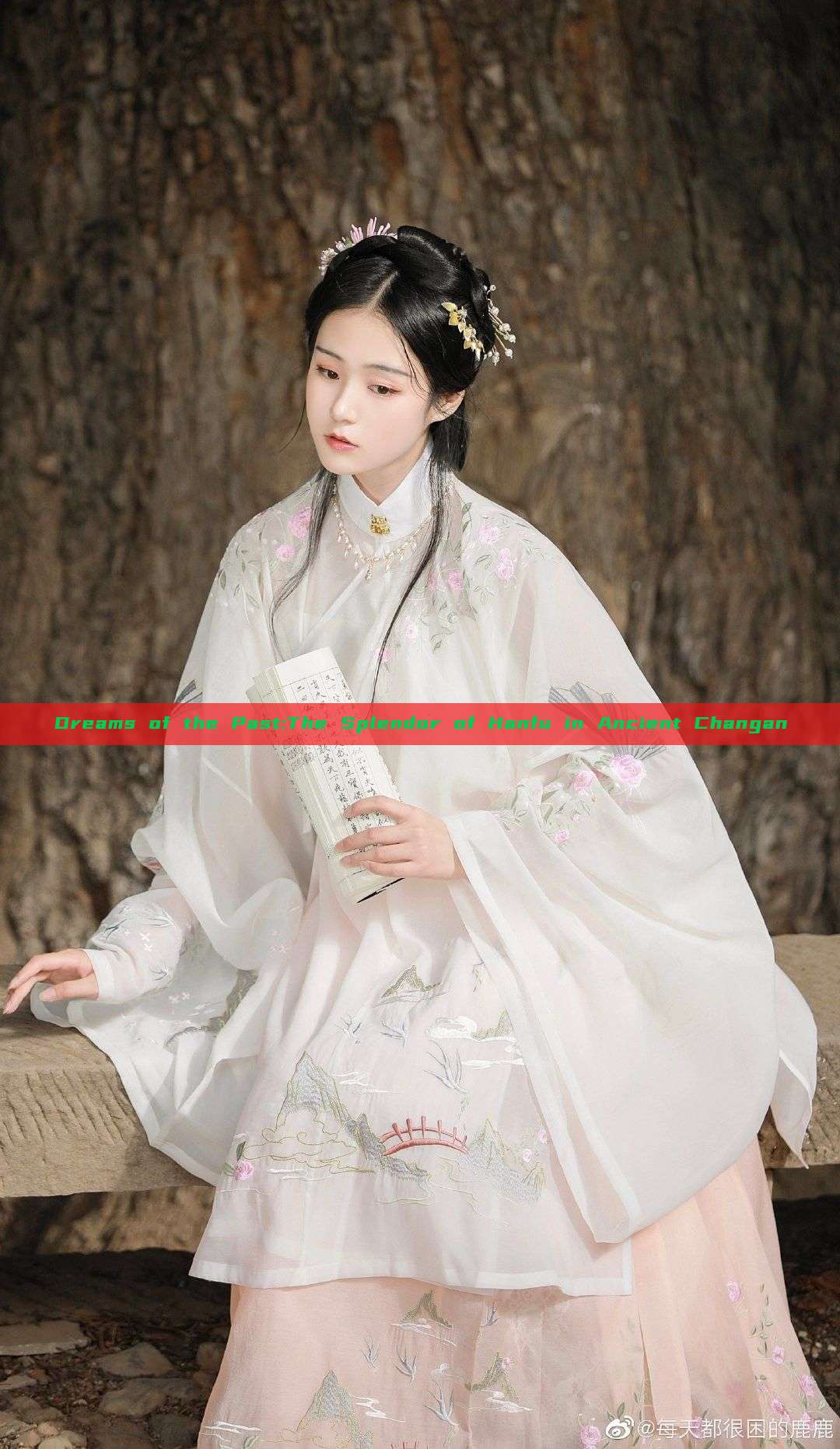 Dreams of the Past:The Splendor of Hanfu in Ancient Changan Dreams of the Past:The Splendor of Hanfu in Ancient Changan