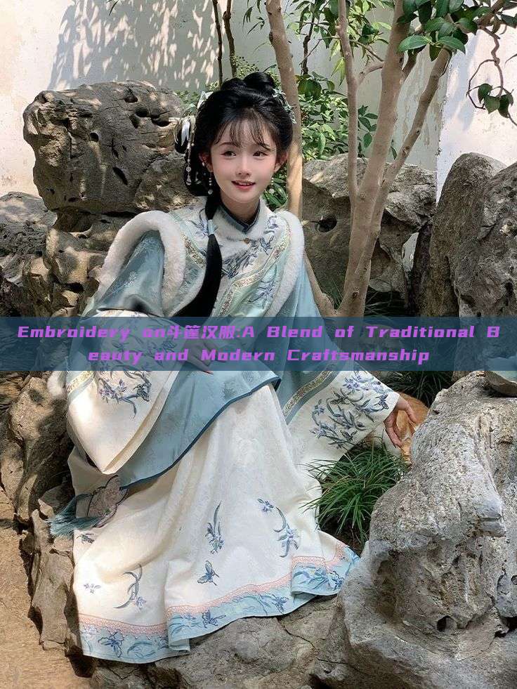 Embroidery on斗篷汉服:A Blend of Traditional Beauty and Modern Craftsmanship Embroidery on斗篷汉服:A Blend of Traditional Beauty and Modern Craftsmanship