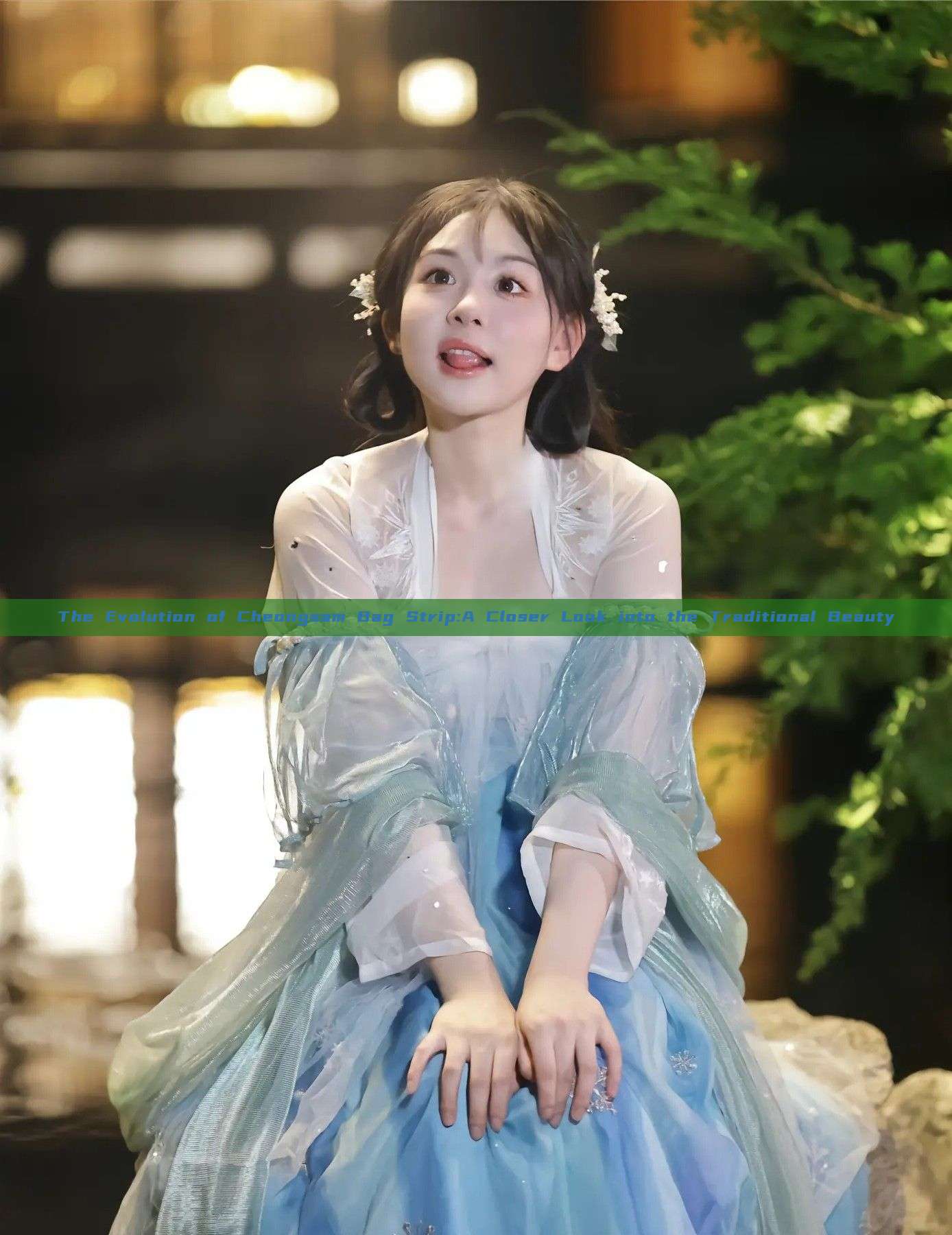 The Evolution of Cheongsam Bag Strip:A Closer Look into the Traditional Beauty The Evolution of Cheongsam Bag Strip:A Closer Look into the Traditional Beauty