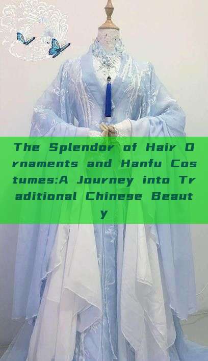 The Splendor of Hair Ornaments and Hanfu Costumes:A Journey into Traditional Chinese Beauty The Splendor of Hair Ornaments and Hanfu Costumes:A Journey into Traditional Chinese Beauty