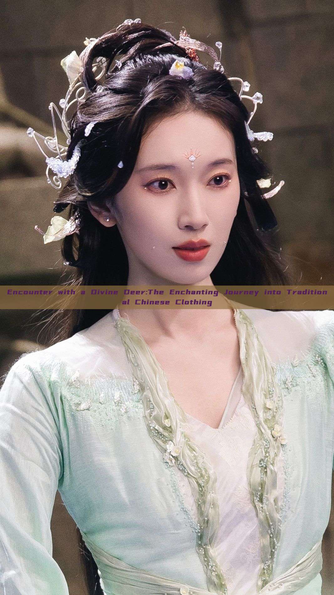Encounter with a Divine Deer:The Enchanting Journey into Traditional Chinese Clothing