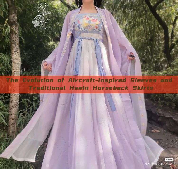 The Evolution of Aircraft-Inspired Sleeves and Traditional Hanfu Horseback Skirts The Evolution of Aircraft-Inspired Sleeves and Traditional Hanfu Horseback Skirts