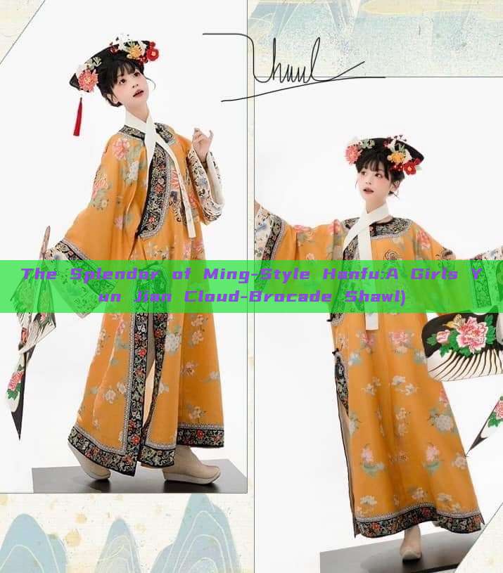 The Splendor of Ming-Style Hanfu:A Girls Yun Jian Cloud-Brocade Shawl)