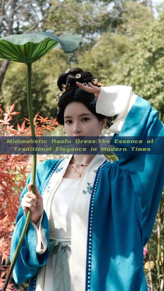 Minimalistic Hanfu Dress:The Essence of Traditional Elegance in Modern Times