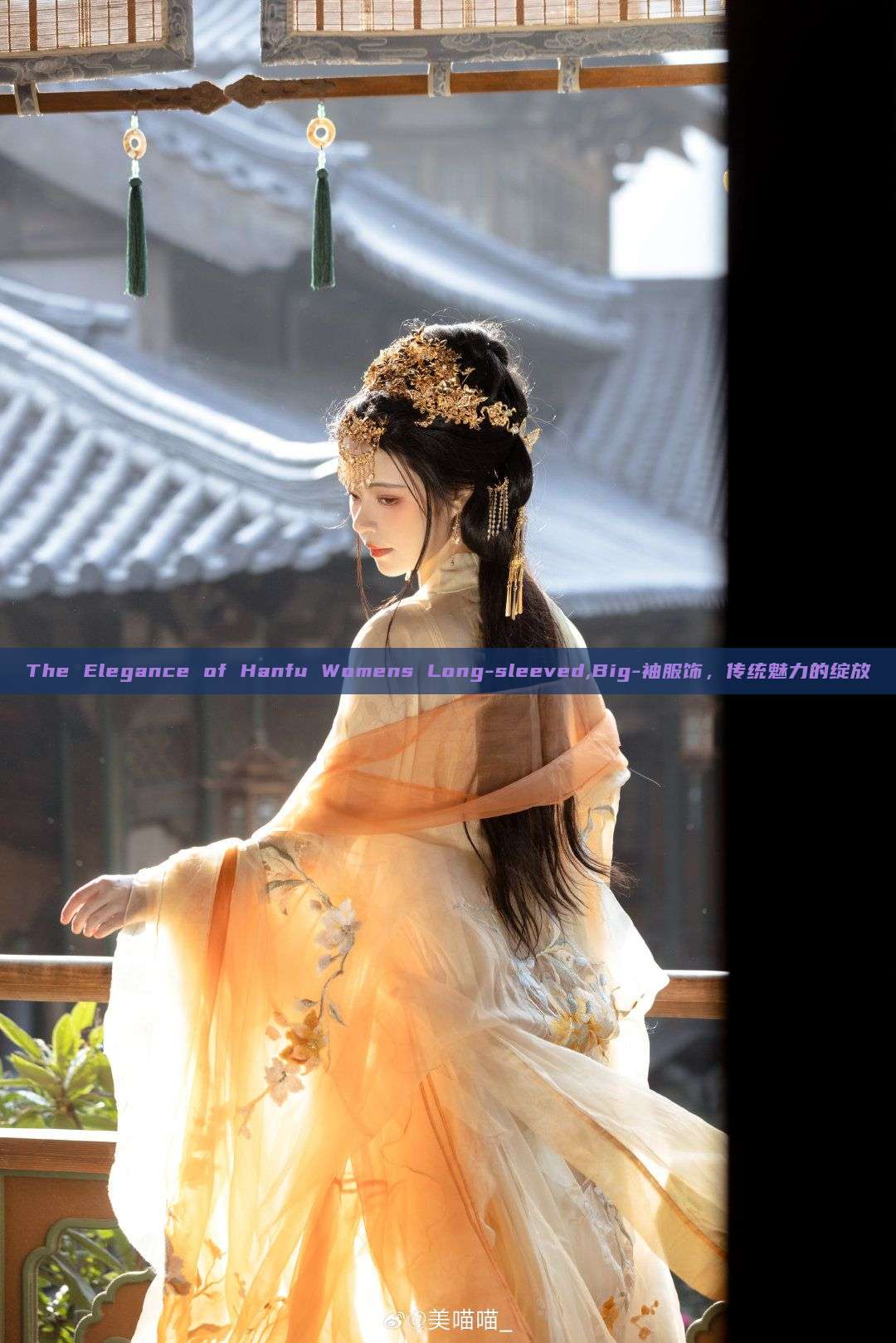 The Elegance of Hanfu Womens Long-sleeved,Big-袖服饰，传统魅力的绽放