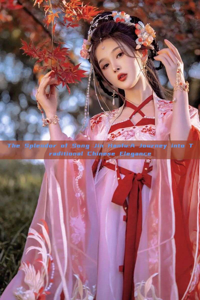 The Splendor of Song Jin Hanfu:A Journey into Traditional Chinese Elegance