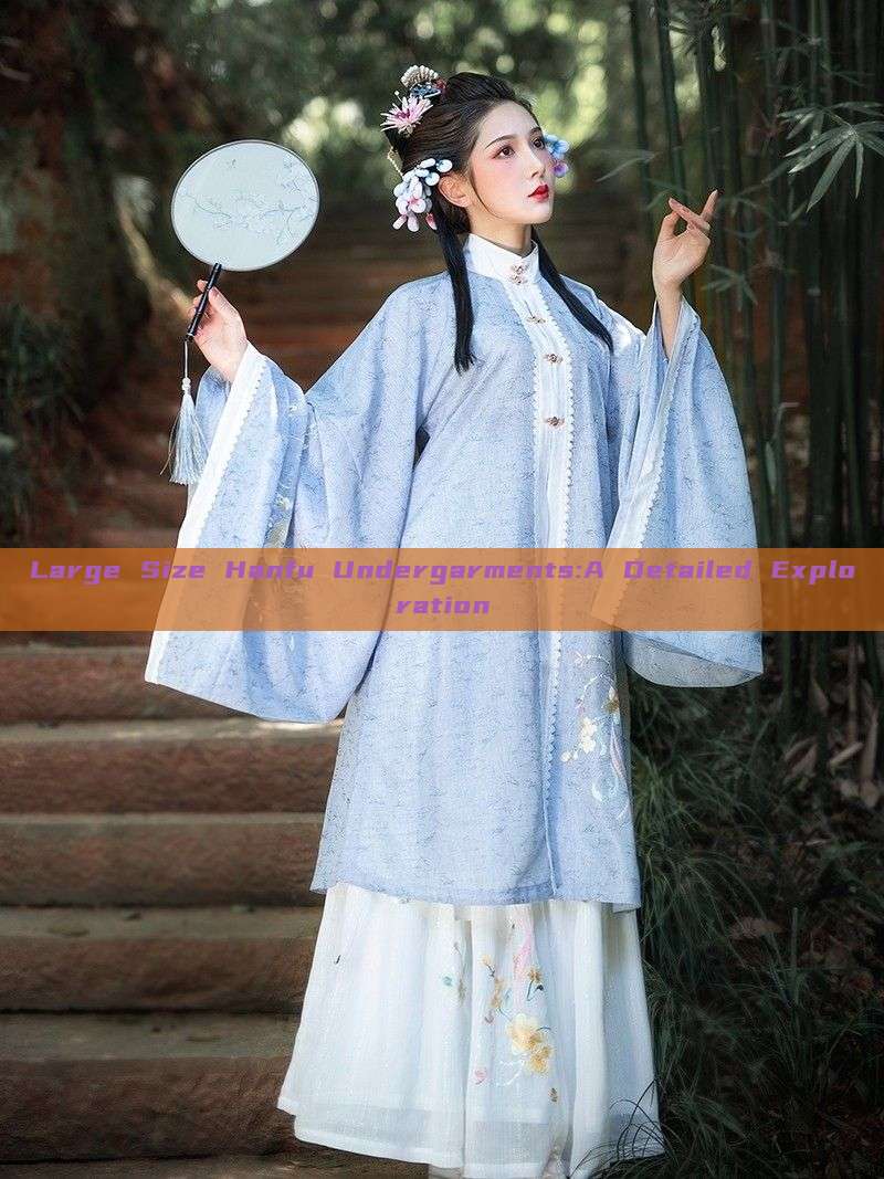 Large Size Hanfu Undergarments:A Detailed Exploration Large Size Hanfu Undergarments:A Detailed Exploration