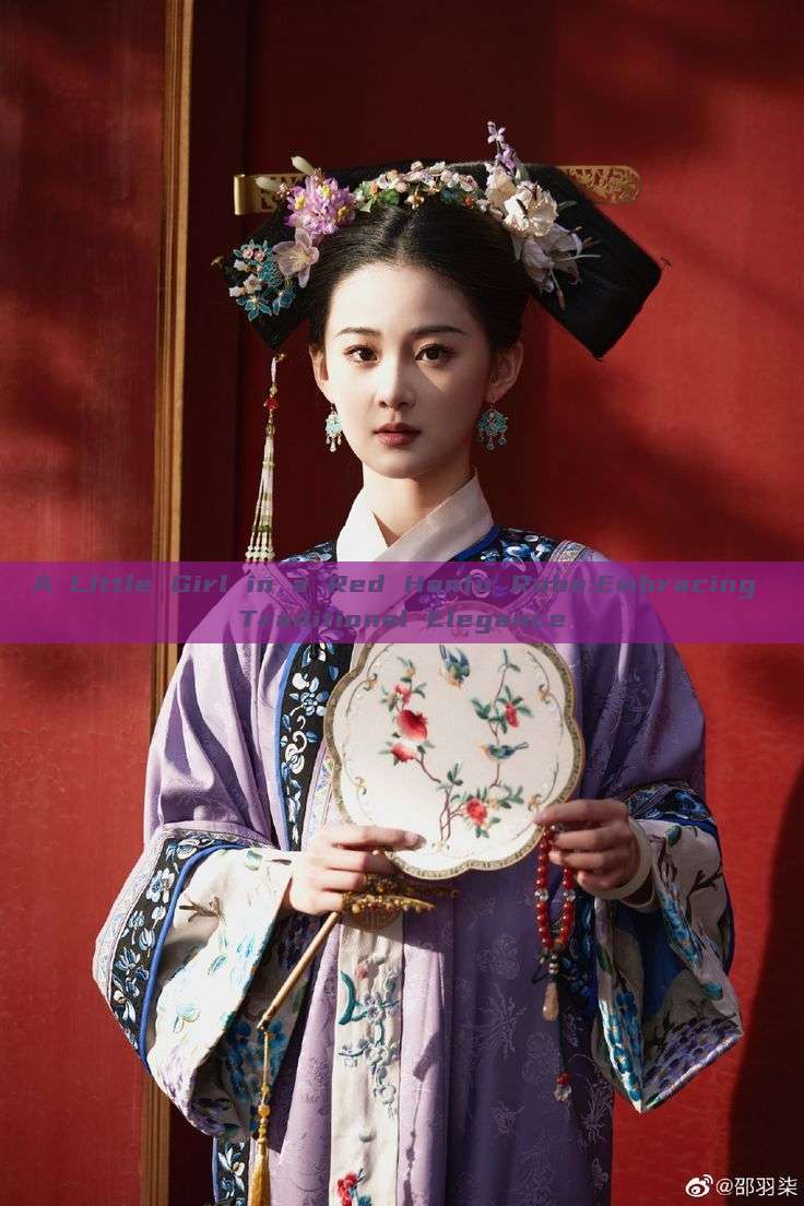 A Little Girl in a Red Hanfu Robe:Embracing Traditional Elegance