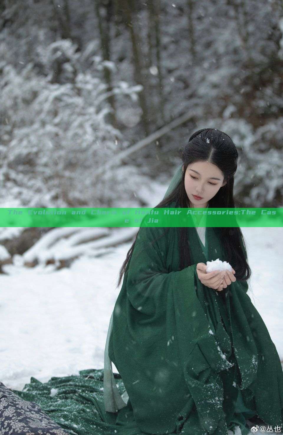 The Evolution and Charm of Hanfu Hair Accessories:The Case of Jia