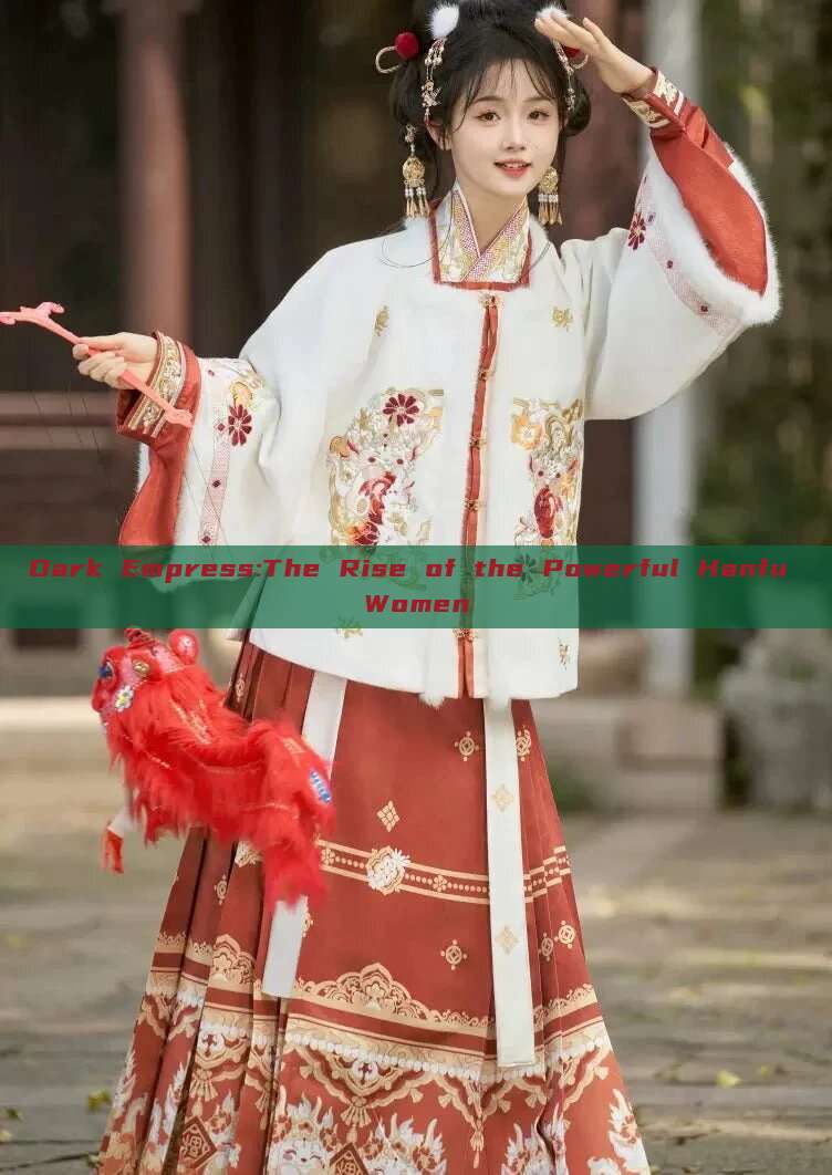 Dark Empress:The Rise of the Powerful Hanfu Women Dark Empress:The Rise of the Powerful Hanfu Women