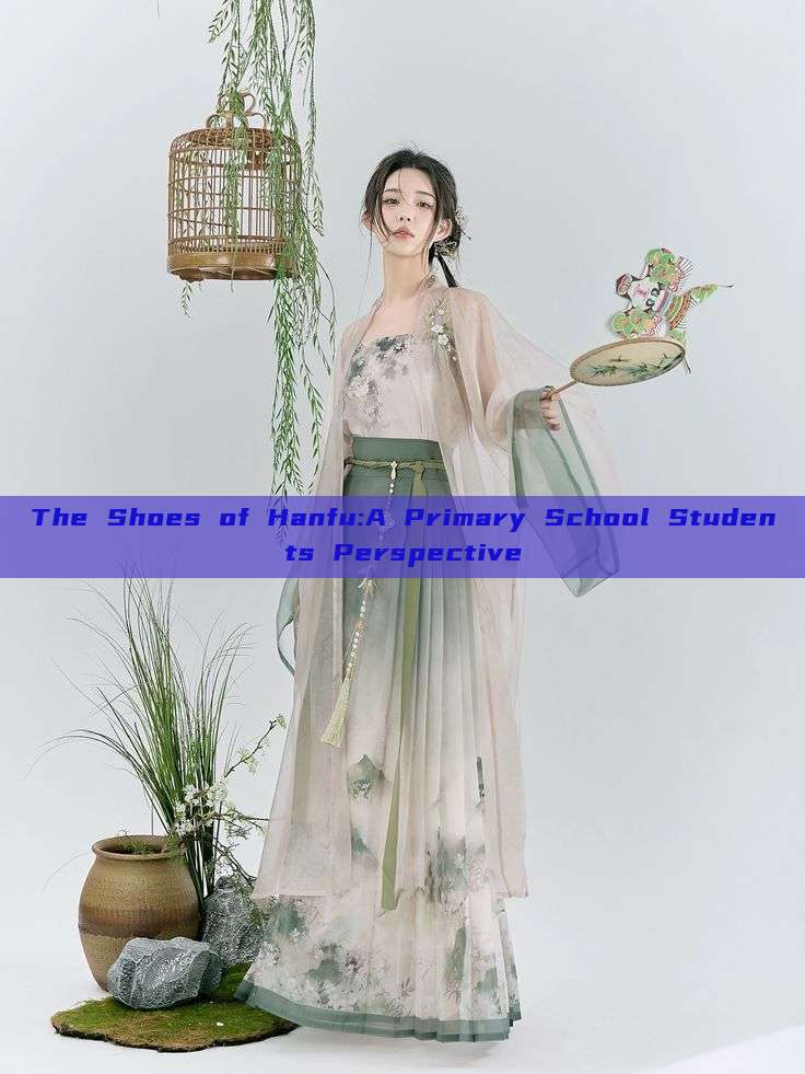 The Shoes of Hanfu:A Primary School Students Perspective The Shoes of Hanfu:A Primary School Students Perspective