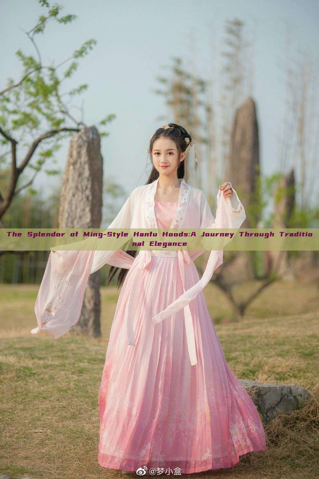 The Splendor of Ming-Style Hanfu Hoods:A Journey Through Traditional Elegance