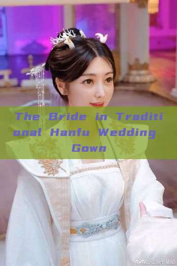 The Bride in Traditional Hanfu Wedding Gown The Bride in Traditional Hanfu Wedding Gown