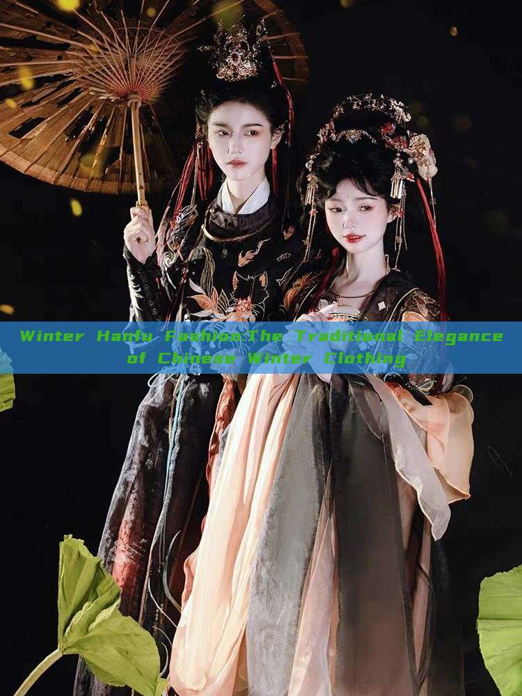 Winter Hanfu Fashion:The Traditional Elegance of Chinese Winter Clothing Winter Hanfu Fashion:The Traditional Elegance of Chinese Winter Clothing