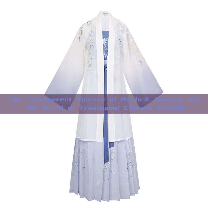 The Transparent Sleeves of Hanfu:A Journey into the World of Traditional Chinese Fashion