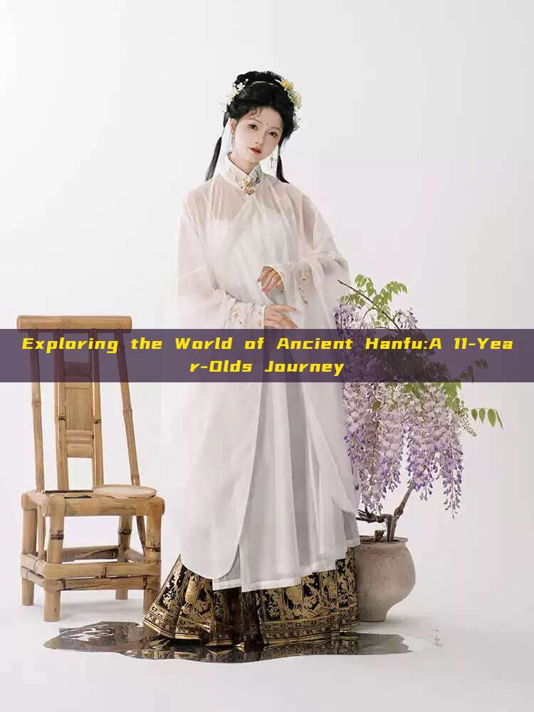 Exploring the World of Ancient Hanfu:A 11-Year-Olds Journey Exploring the World of Ancient Hanfu:A 11-Year-Olds Journey