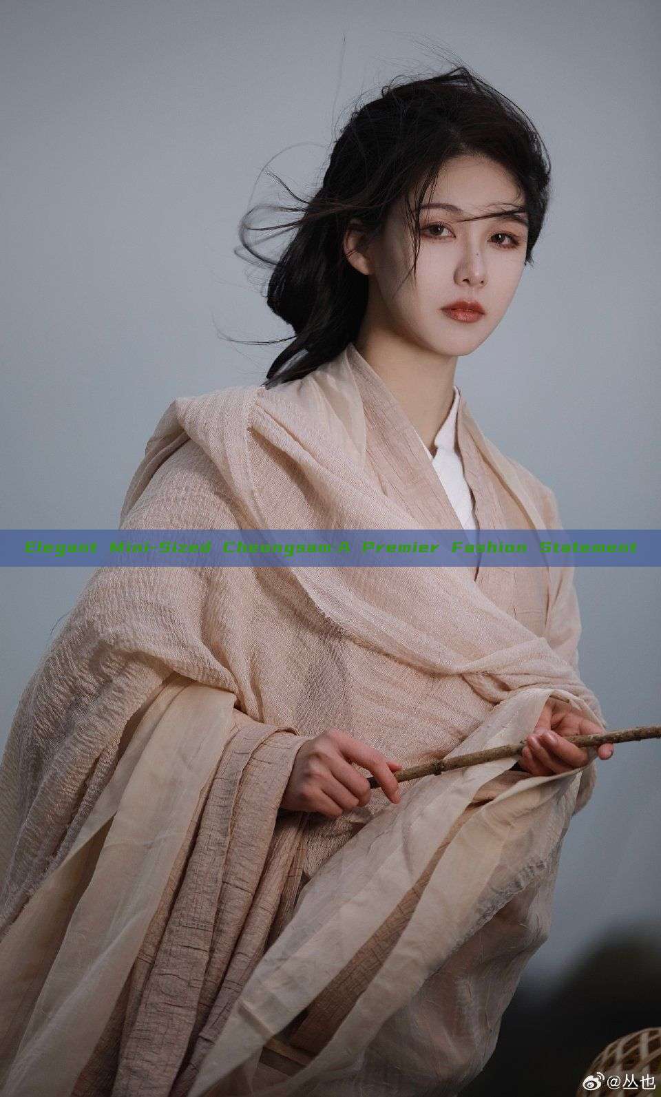 Elegant Mini-Sized Cheongsam:A Premier Fashion Statement