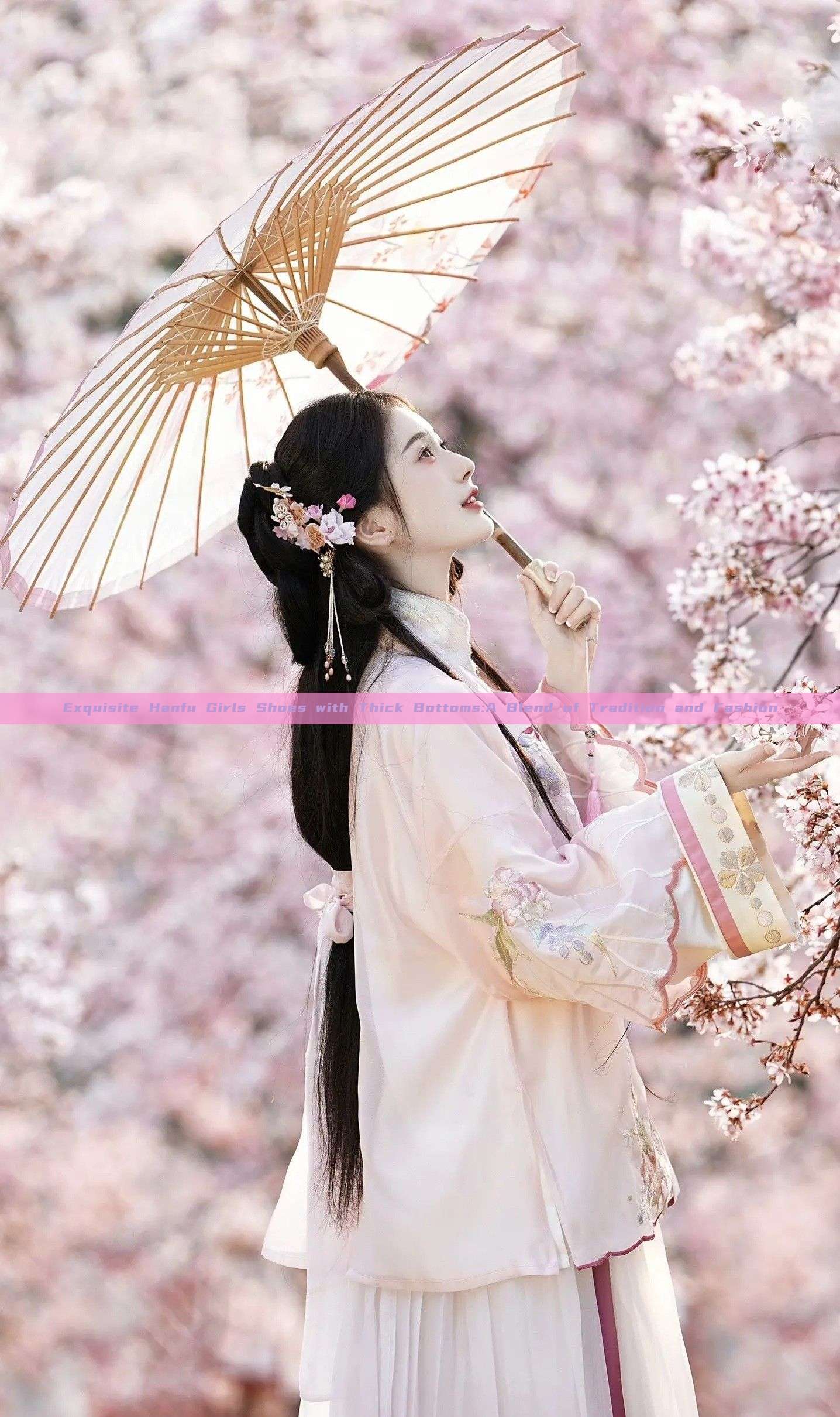 Exquisite Hanfu Girls Shoes with Thick Bottoms:A Blend of Tradition and Fashion