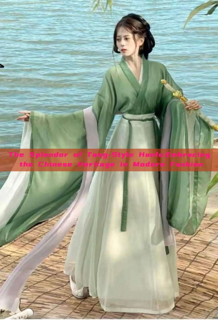 The Splendor of Tang-Style Hanfu:Embracing the Chinese Heritage in Modern Fashion The Splendor of Tang-Style Hanfu:Embracing the Chinese Heritage in Modern Fashion