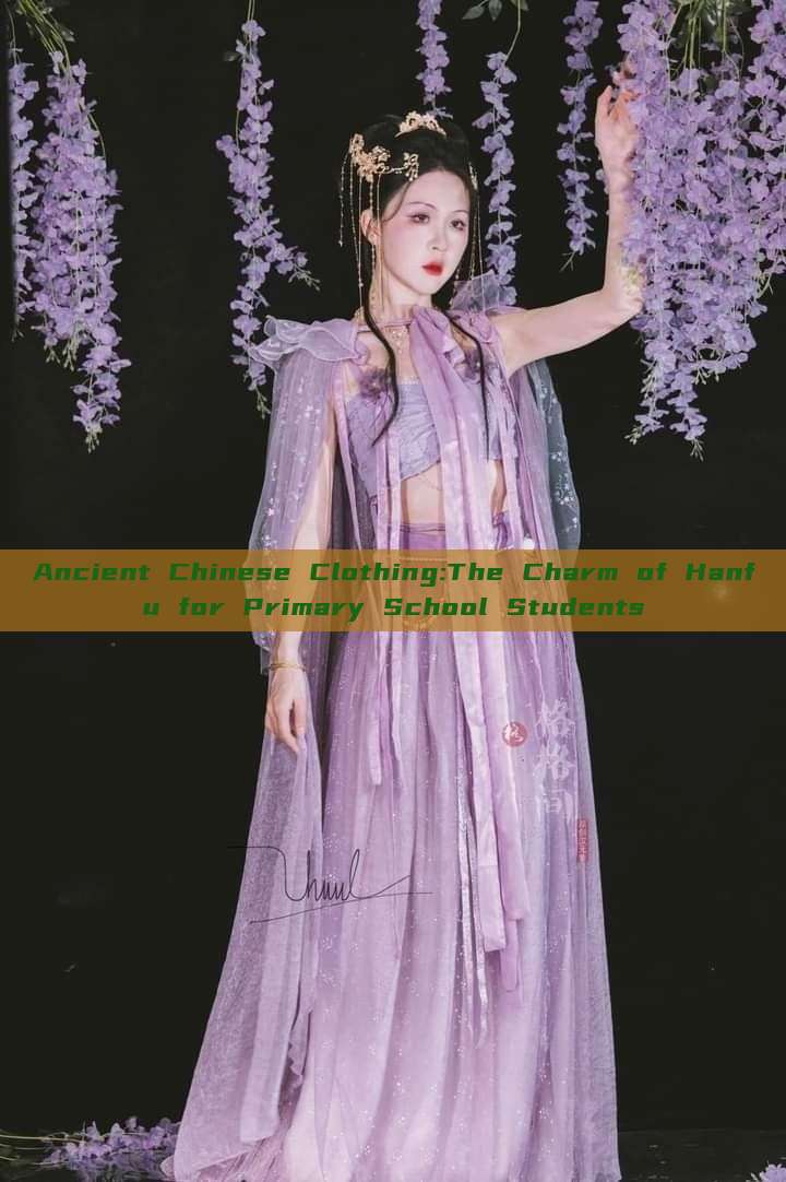 Ancient Chinese Clothing:The Charm of Hanfu for Primary School Students