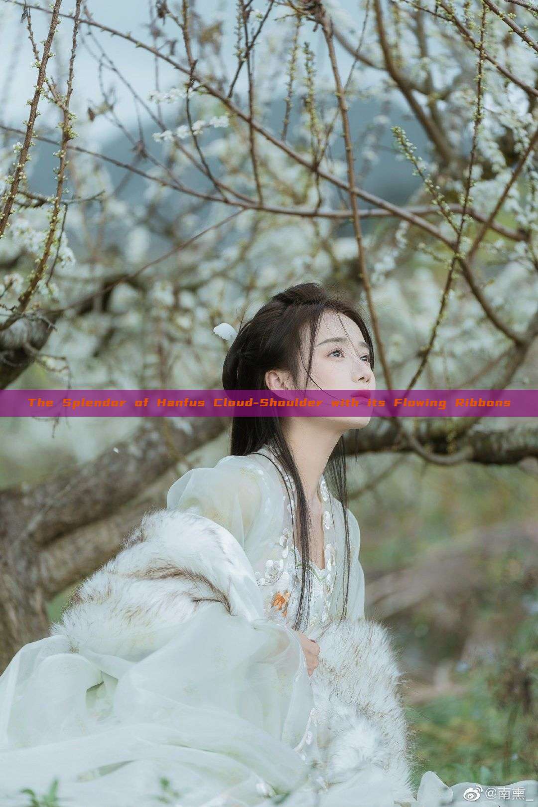 The Splendor of Hanfus Cloud-Shoulder with its Flowing Ribbons