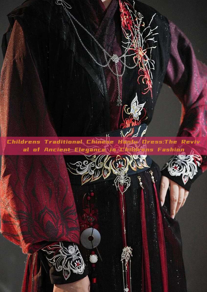 Childrens Traditional Chinese Hanfu Dress:The Revival of Ancient Elegance in Childrens Fashion Childrens Traditional Chinese Hanfu Dress:The Revival of Ancient Elegance in Childrens Fashion
