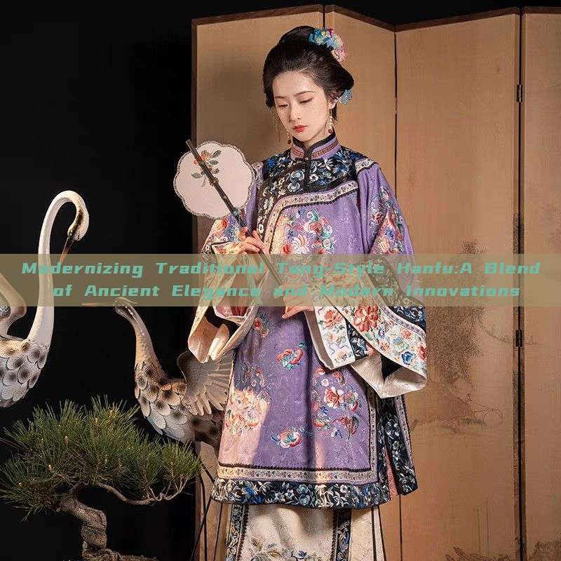 Modernizing Traditional Tang-Style Hanfu:A Blend of Ancient Elegance and Modern Innovations