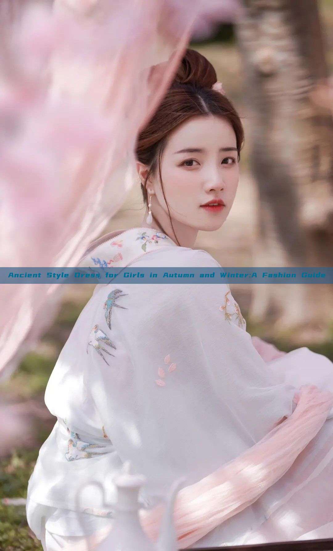 Ancient Style Dress for Girls in Autumn and Winter:A Fashion Guide