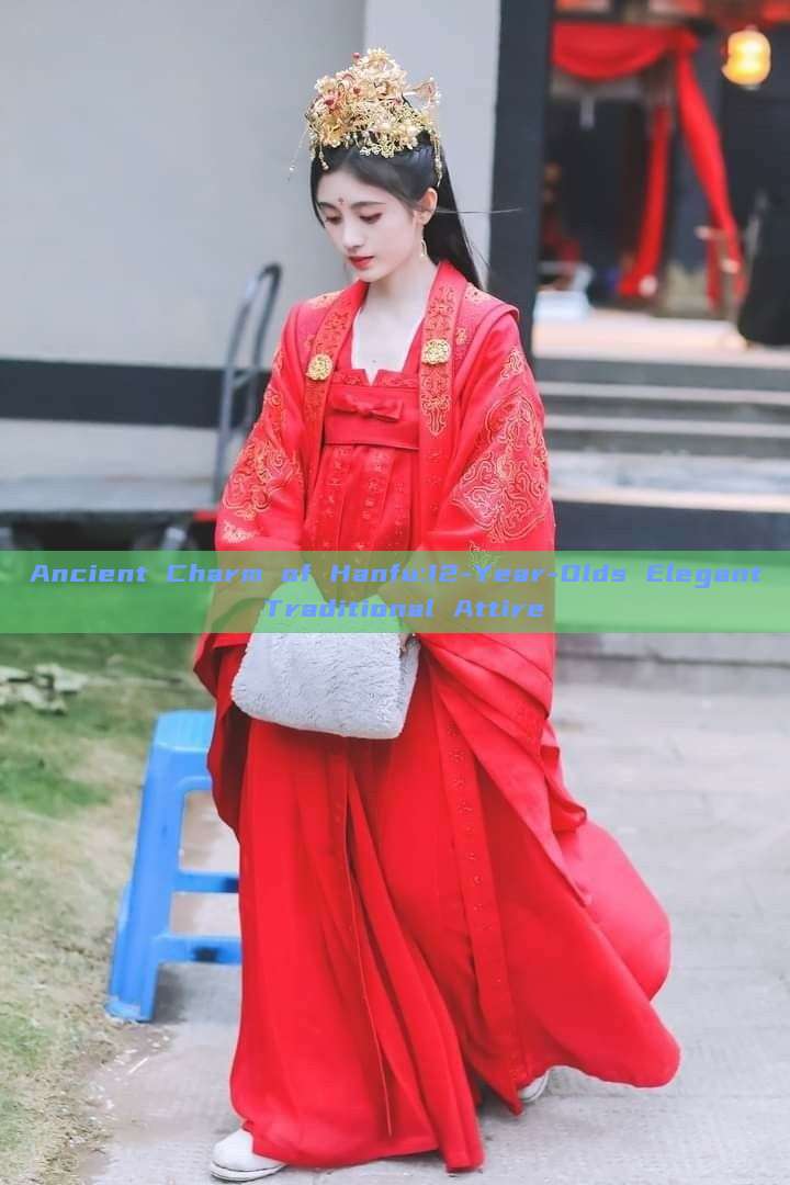 Ancient Charm of Hanfu:12-Year-Olds Elegant Traditional Attire Ancient Charm of Hanfu:12-Year-Olds Elegant Traditional Attire