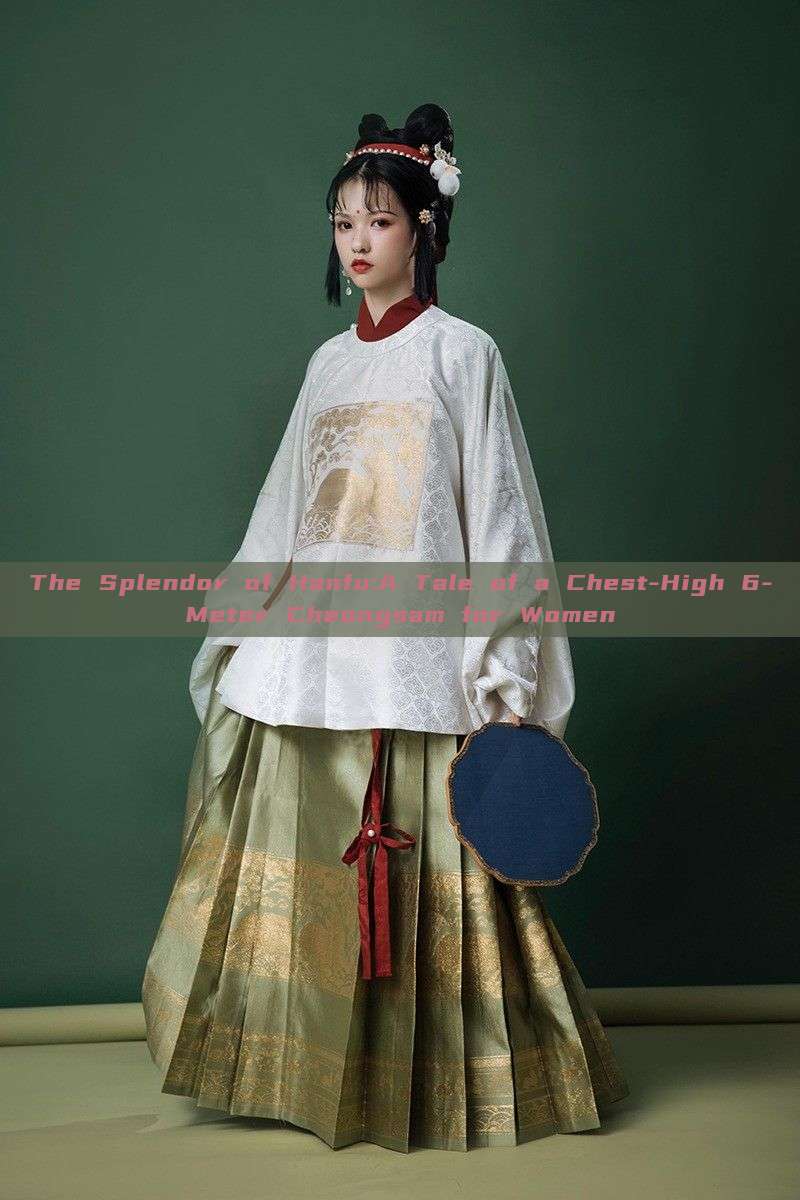The Splendor of Hanfu:A Tale of a Chest-High 6-Meter Cheongsam for Women The Splendor of Hanfu:A Tale of a Chest-High 6-Meter Cheongsam for Women