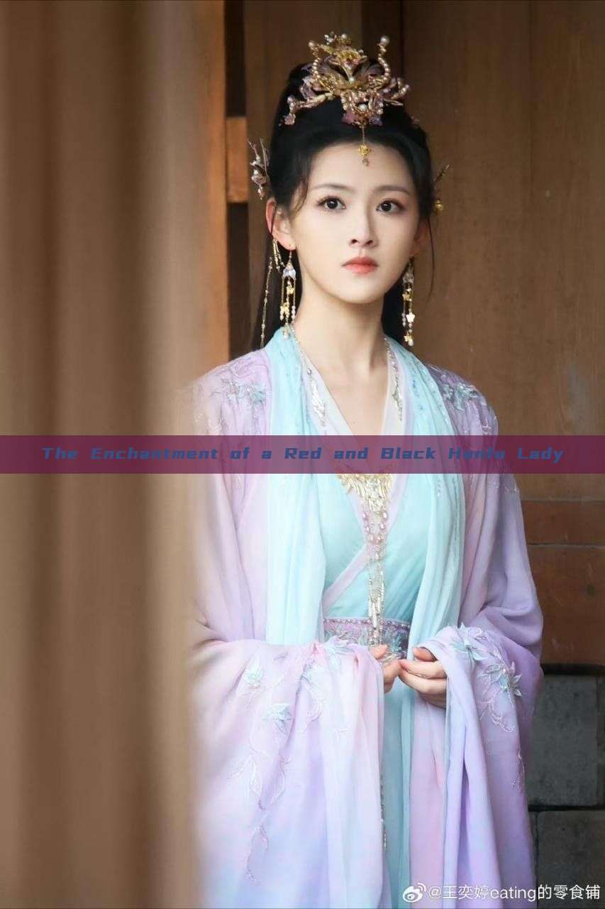 The Enchantment of a Red and Black Hanfu Lady