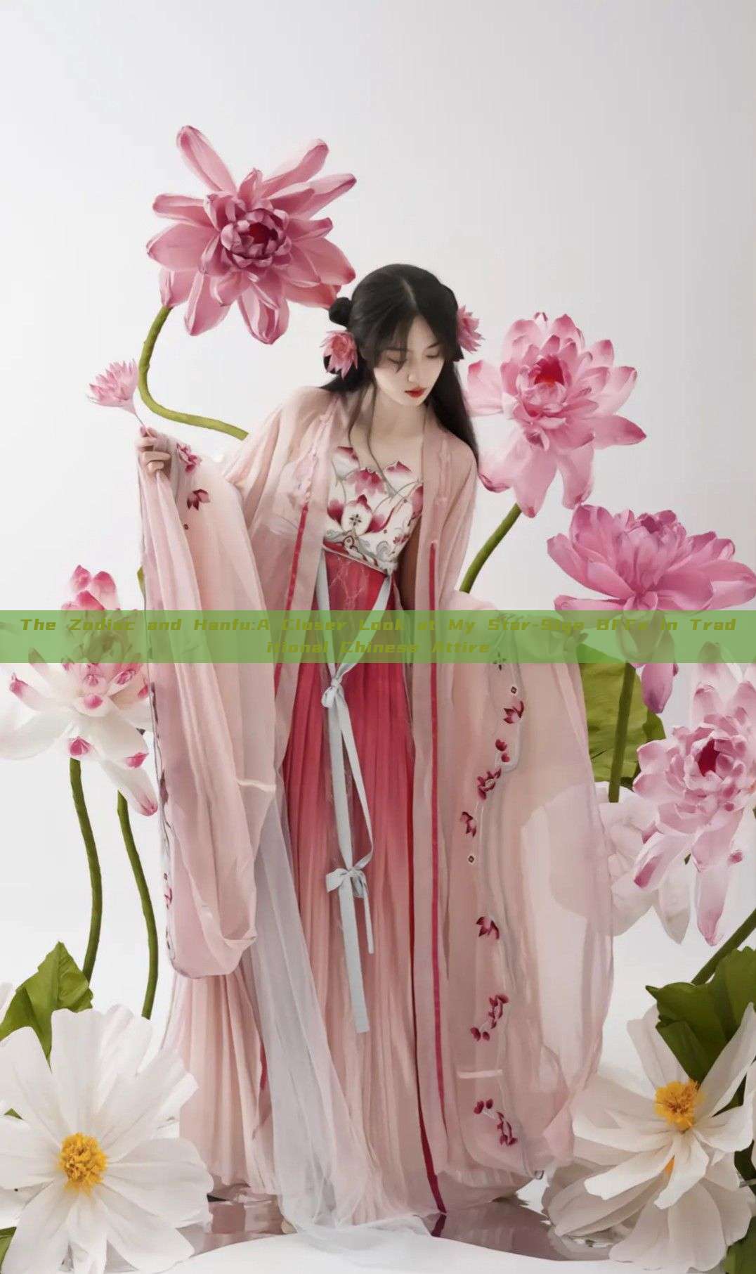 The Zodiac and Hanfu:A Closer Look at My Star-Sign BFFs in Traditional Chinese Attire The Zodiac and Hanfu:A Closer Look at My Star-Sign BFFs in Traditional Chinese Attire