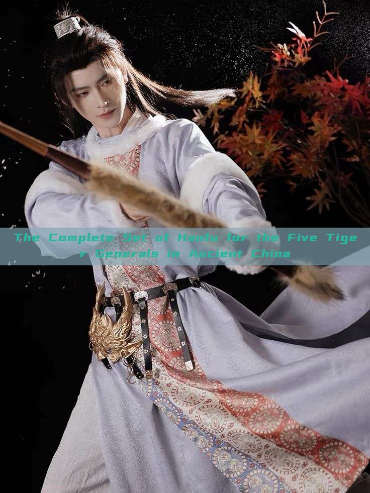 The Complete Set of Hanfu for the Five Tiger Generals in Ancient China