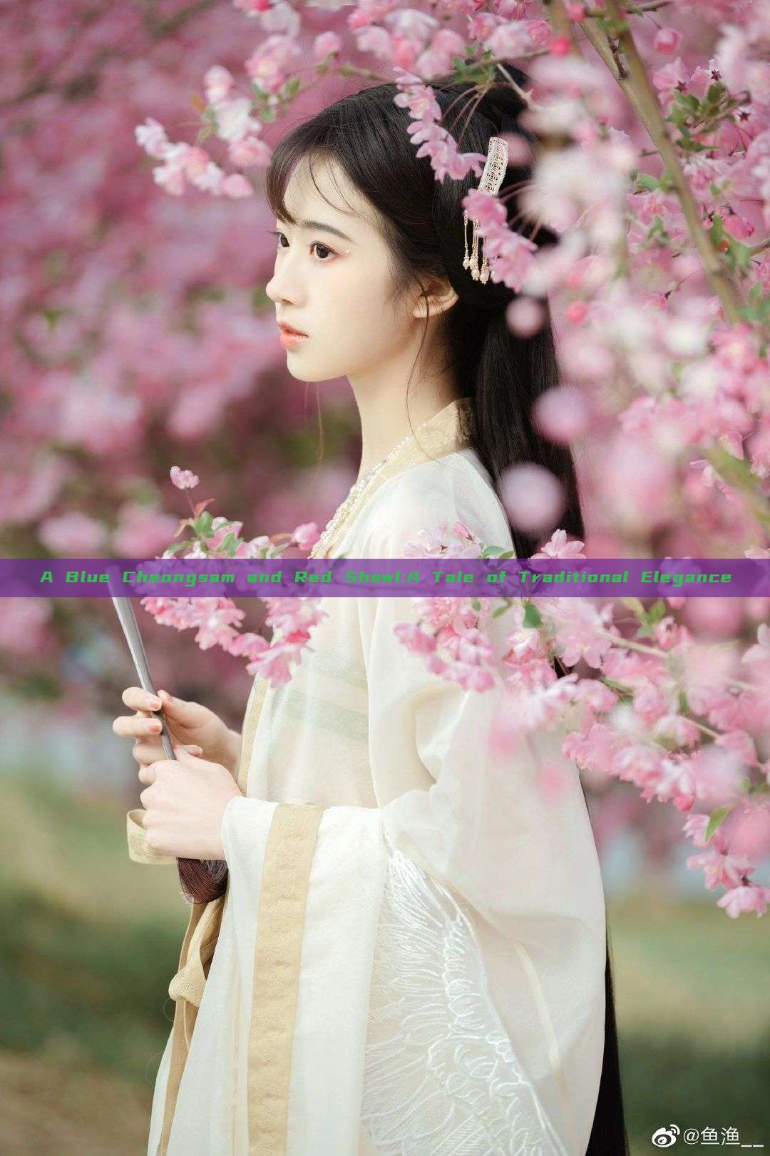 A Blue Cheongsam and Red Shawl:A Tale of Traditional Elegance