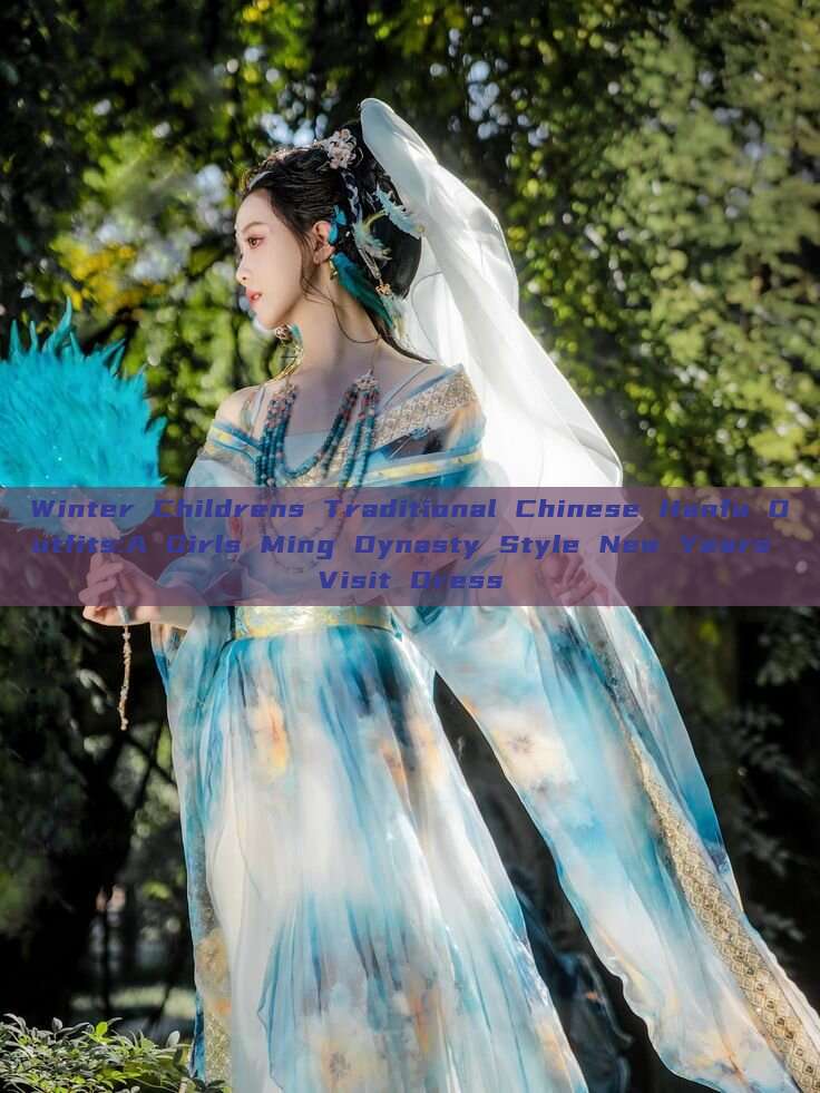 Winter Childrens Traditional Chinese Hanfu Outfits:A Girls Ming Dynasty Style New Years Visit Dress