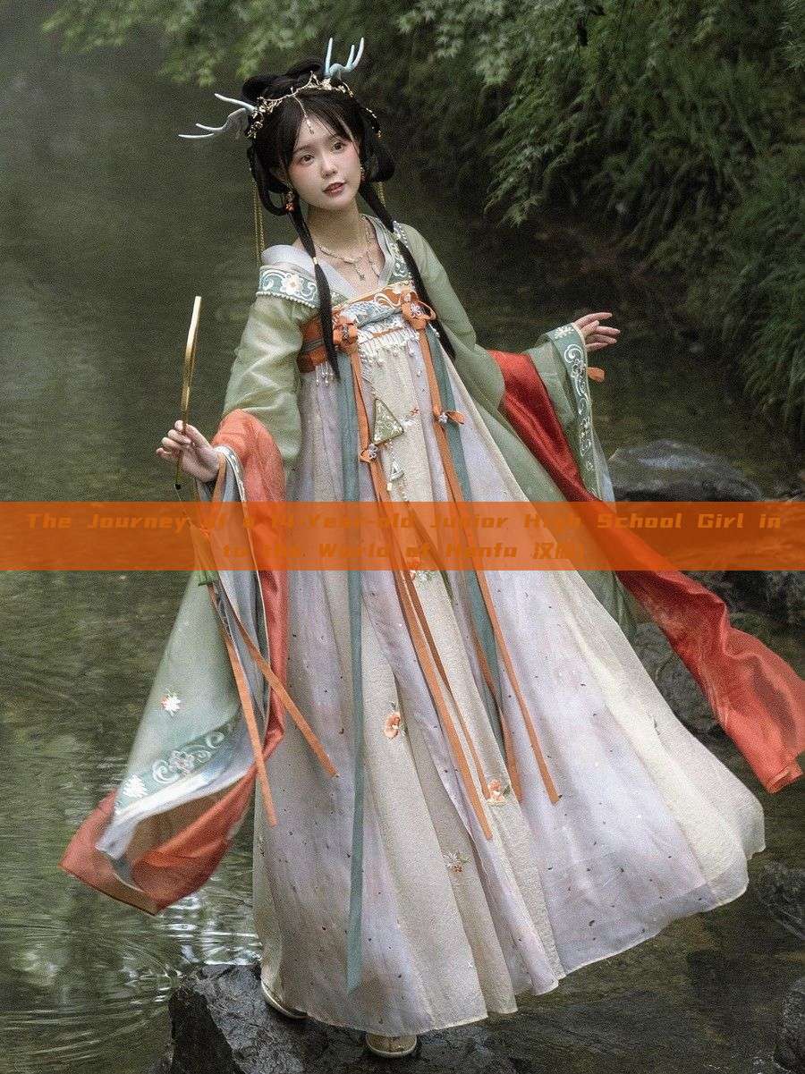 The Journey of a 14-Year-old Junior High School Girl into the World of Hanfu 汉服) The Journey of a 14-Year-old Junior High School Girl into the World of Hanfu 汉服)